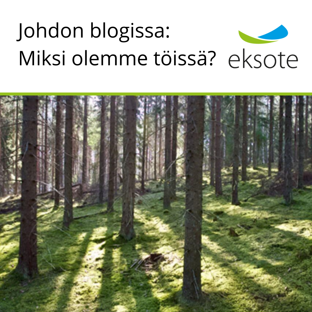 Johdon blogissa: Miksi olemme töissä?